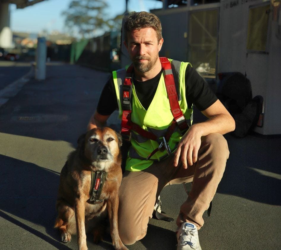 hero owner dog Thank You