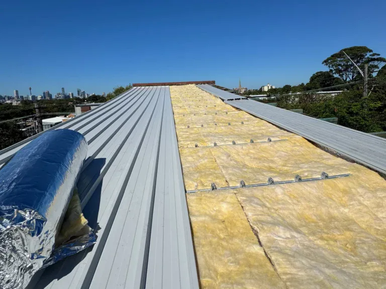 Roof replacement in Leichhardt